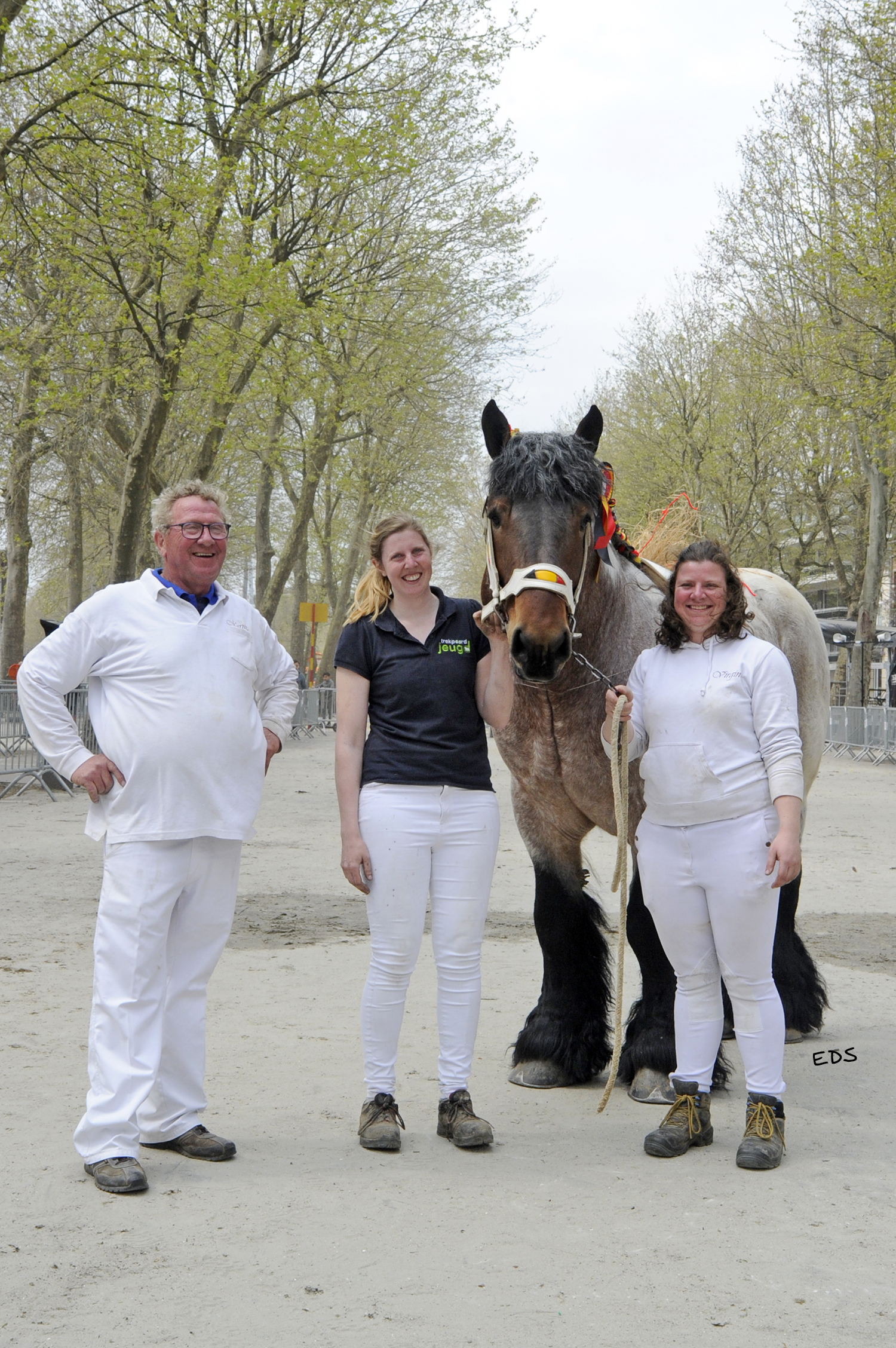 Drie generaties met een trekpaard