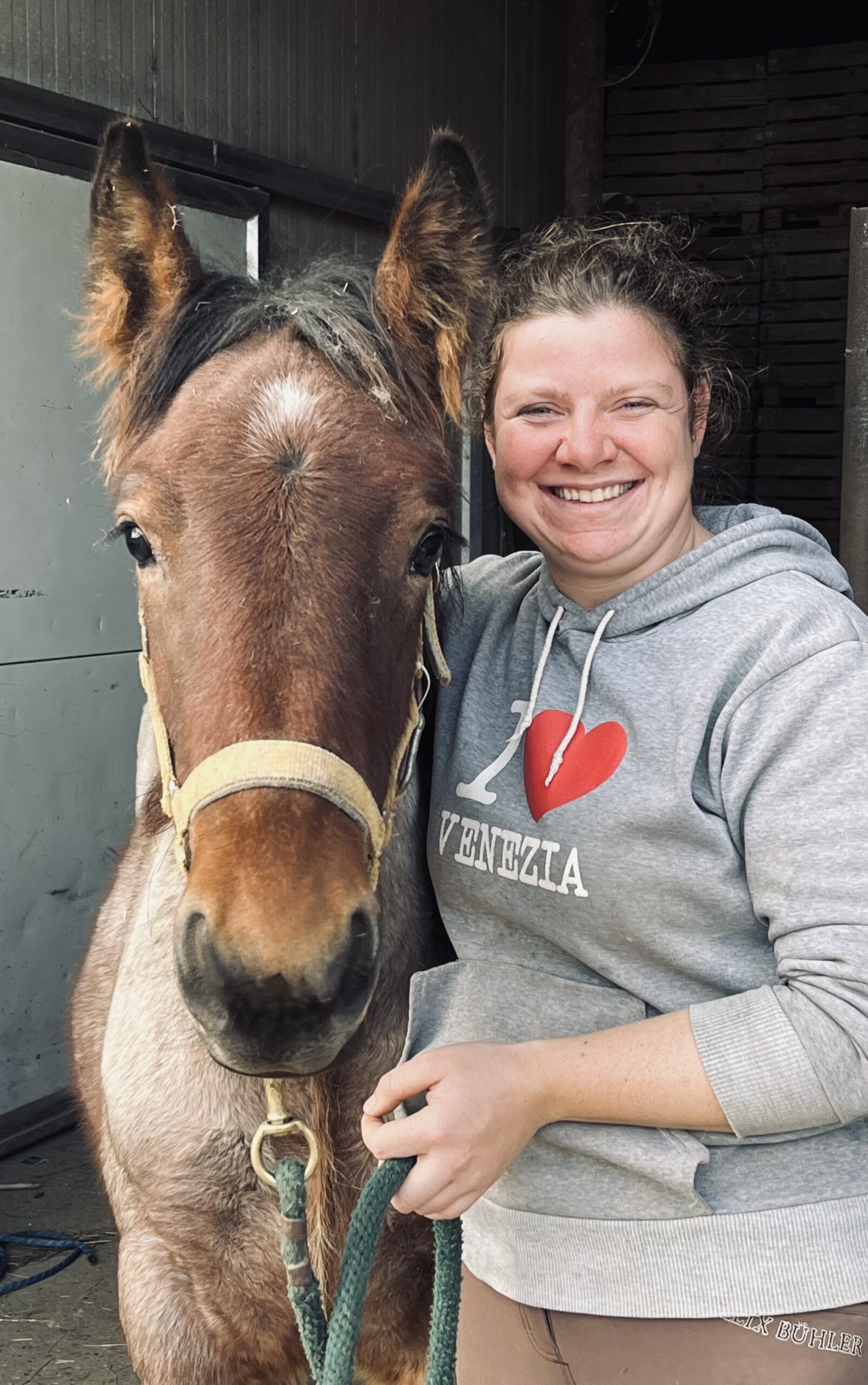 Verzorging op de hoeve